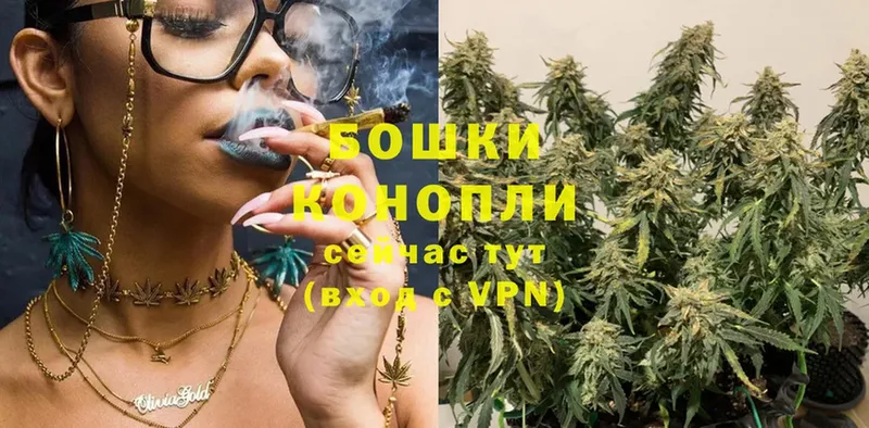 Бошки Шишки OG Kush  купить наркотики сайты  блэк спрут ССЫЛКА  Сертолово 